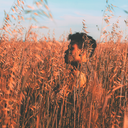 breakfast-soup avatar