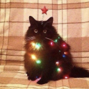 breakfastappeal avatar