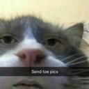 breaking-barbies avatar