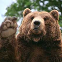 breakingbutts-blog avatar