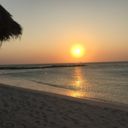 breakinghtebox avatar