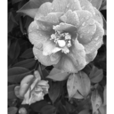 breakingintolights avatar