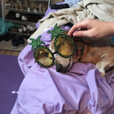 breakneck-blur avatar