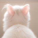 breannagracee avatar