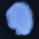 breastofrevelation avatar