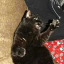 breathe-oblivion avatar