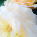 breatheandsmile avatar