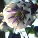 breatheourskin avatar