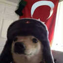 breatheunicorn avatar