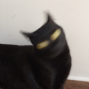 breathing-sarcasm avatar