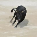 breathlesslee avatar