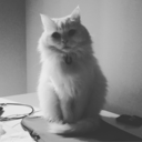 breathtaking-things avatar