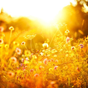 breathtakingplaces avatar