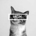 breeak-mywings avatar