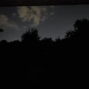 breedingprincessjackie avatar