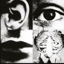 breedtobreathe avatar