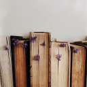 breereadsromance avatar