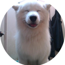 breezeblockinq0 avatar