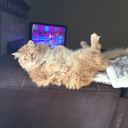 breezzzerlynn avatar