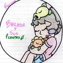 brenda-schmidt-blog avatar