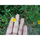 brendaaviles3-blog avatar