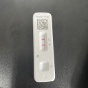 brendonurinal avatar