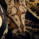 brian-d77-blog avatar