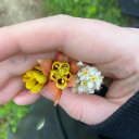 briangriffin420 avatar