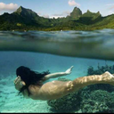 briankeunseok-blog avatar