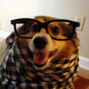 brianlionzion avatar