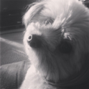 briannaroberts25 avatar