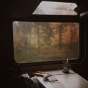 briannasings216 avatar