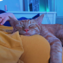 briar-vines-and-roses avatar