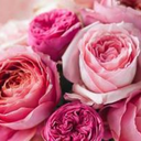 briarellen-blog avatar