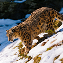 brickandbrownwalls-blog avatar