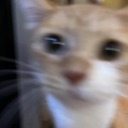 brickcollector avatar