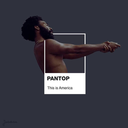 brieflydowntoearth avatar