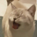 brieflyimpossiblecreation avatar