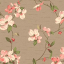 bright-and-beautiful avatar