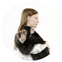 bright-copper-kettles-blog avatar