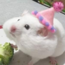 bright-little-light avatar