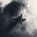 bright-undertones avatar