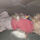 brightandoutofsight avatar