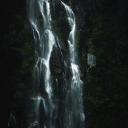 brightchrysaor avatar