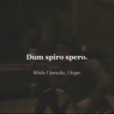 brightermoonss avatar