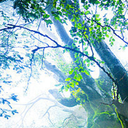 brightershores avatar