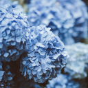 brightestbitchofherage avatar