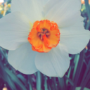 brightestbrilliance avatar