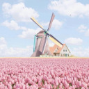 brightscarecrow avatar