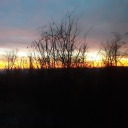 brightsunanddarkmidnight2-0 avatar